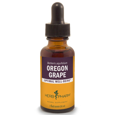 Oregon Grape - My Village Green
